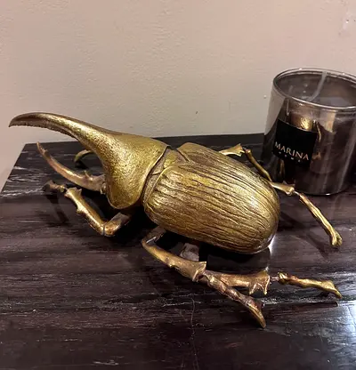 Beetle decor ( KARE )