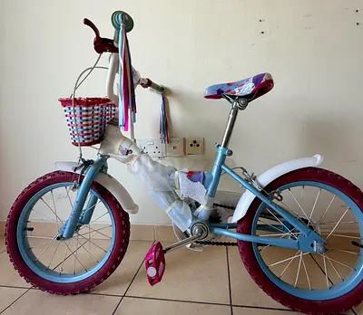 SPARTAN Disney Frozen Themed Bicycle - 16 Inch (For girls with trainer wheels)