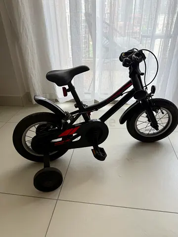 Giant Animator Bike for kids