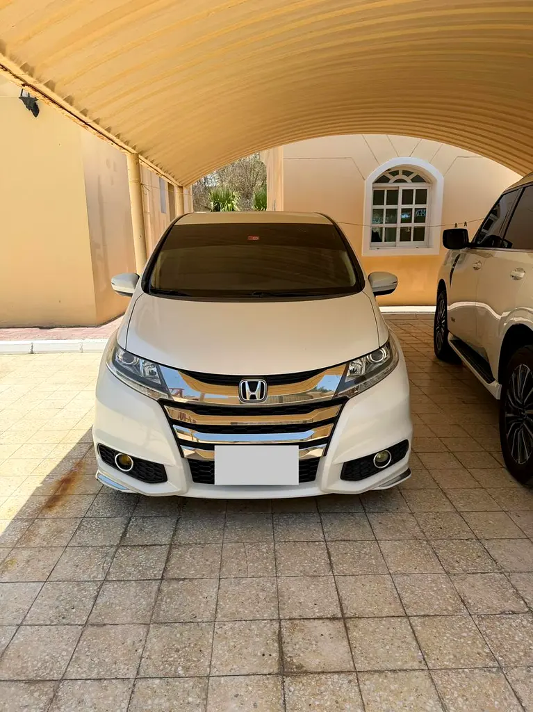 Honda Odyssey 2020 — photo 1 of 18