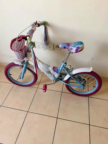 Spartan Disney Frozen themed girls bicycle- 16 inch with trainer wheels