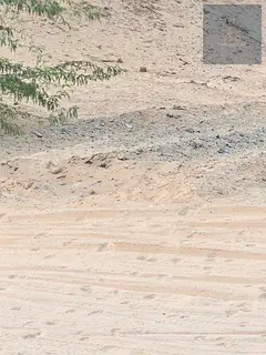 Industrial land for sale in Umm Al Thu'ub, Umm Al Quwain