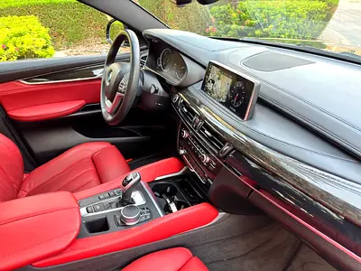 2018 BMW X6 photo 10