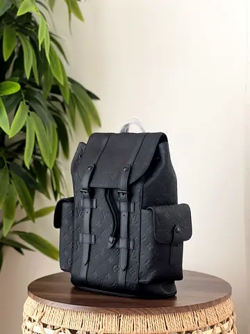 Louis Vuitton backpack