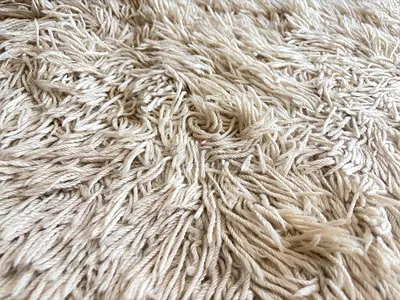 Beige Shaggy Rug - Soft High-Pile Area Rug (Good Condition)