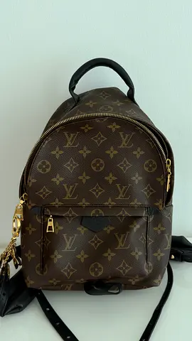 Louis Vuitton Palm spring backpack