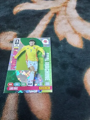 Panini football cards