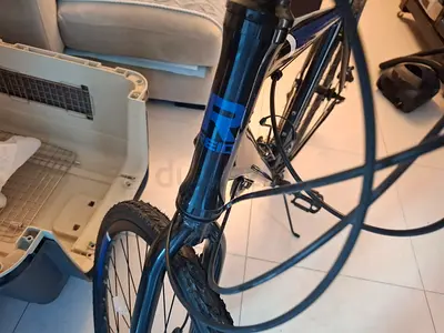 REID 18 speed Mountain bike - Never Used. Needs Tires Inflated