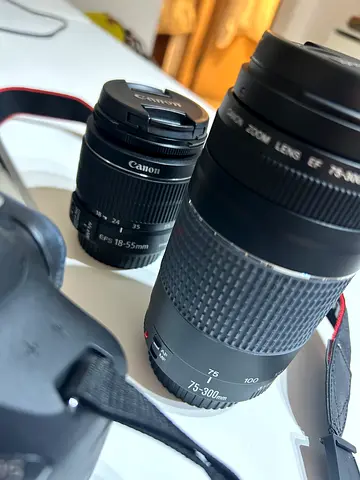Canon EOS 2000D with 75-300mm + 18-55mm lenses + tripod set