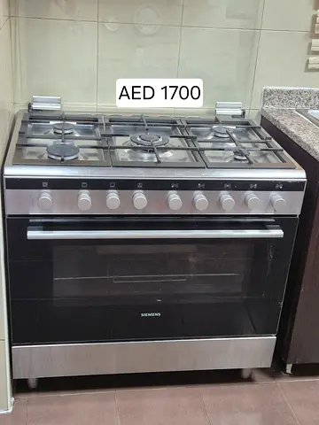 Gas oven