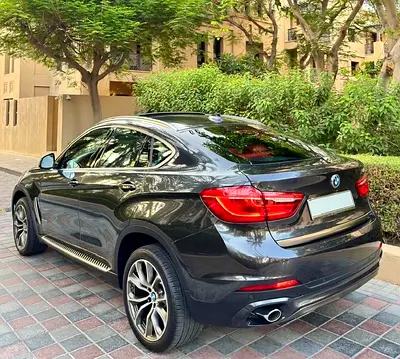 2018 BMW X6 photo 7