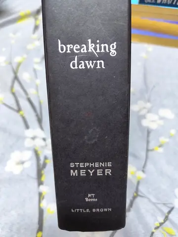 Breaking dawn Stephanie meyer