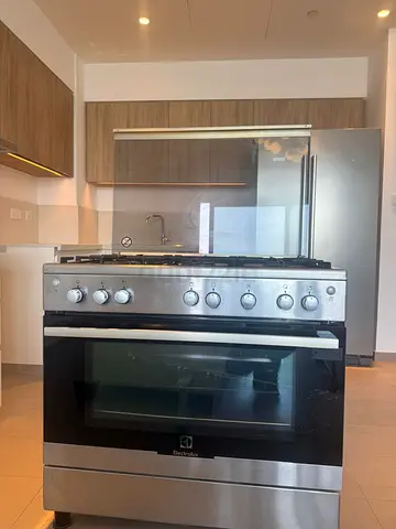 Electrolux Stainless Steel Gas Range with Oven - Good Condition