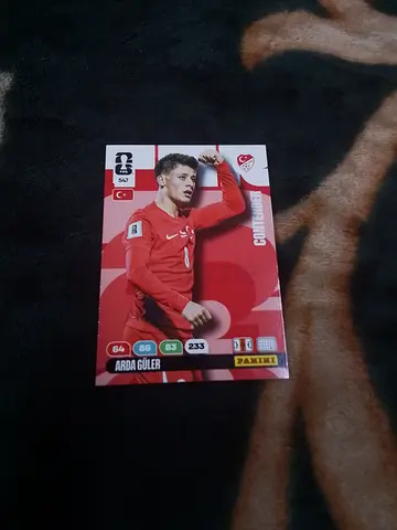 Panini football cards