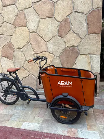 Adam Cargo Bike with Front Box - Good Condition.