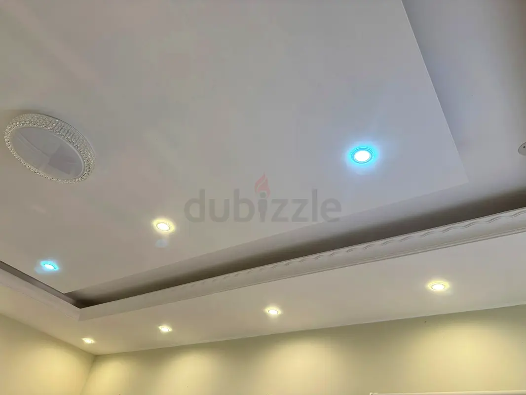DPV_View_Image_2