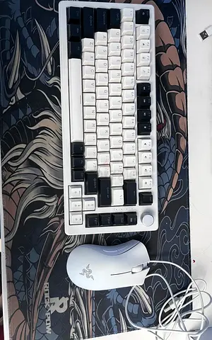 Gaming keyboard and mouse