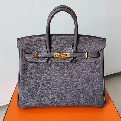 Hermes Birkin 25 Togo Gris Etain Gold Hardware