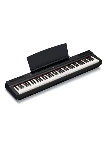 88-Key Digital Piano / Portable Keyboard - Good Condition 125