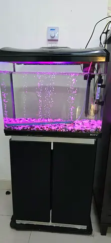 BOYU fish tank with table