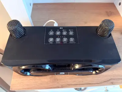 Smartberry karaoke with Microphone