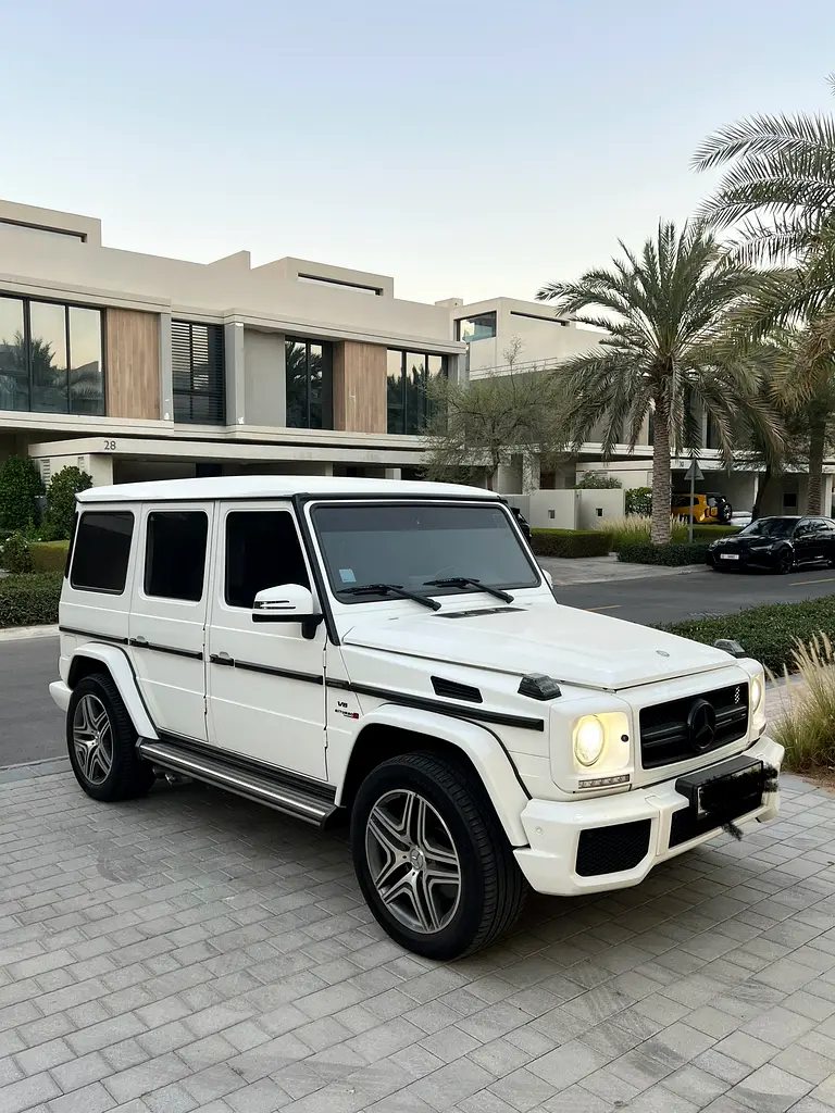 Mercedes-Benz G-Class 2015 — photo 1 of 20