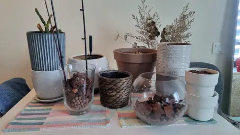 Home Decor Bundle – Ceramic Planters Pots, Orchid Vases, Basket Planter  Dried Flowers (10 pieces)