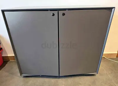 Small Grey Two-Door Cabinet with Lockable Doors