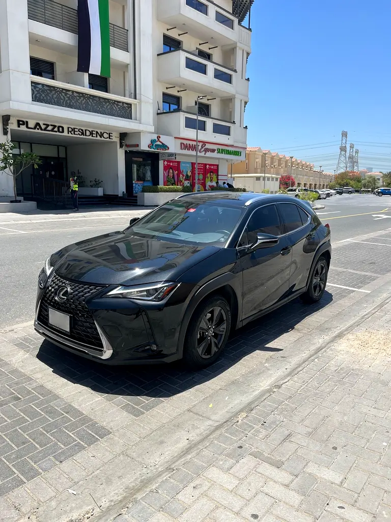 Lexus UX-Series 2021 — photo 1 of 10