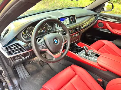2018 BMW X6 photo 11