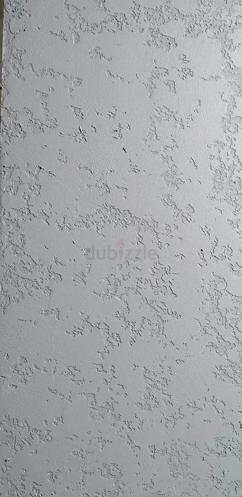 DPV_View_Image_3