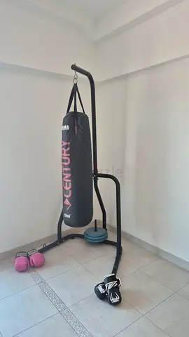 Century 100lb heavy bag with stand and blue weights