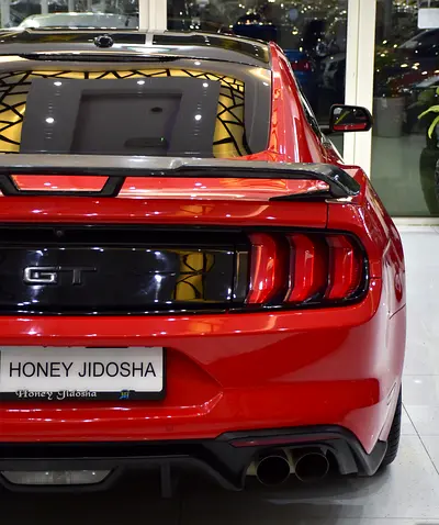 2019 FORD MUSTANG 缩略图 9
