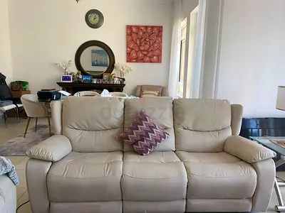 Classic Home Sofa
