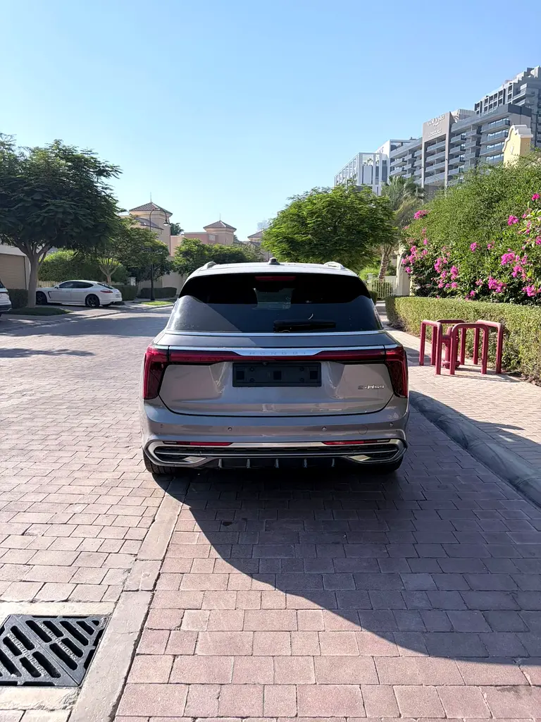 Hongqi E-HS9 2024 — photo 1 of 5