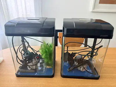 Aquariums  / fish tank x 2 with filters and all accessories plants etc