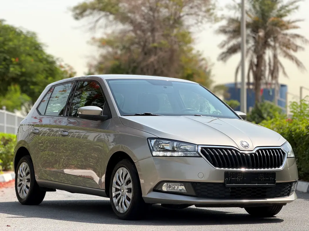 Skoda Fabia 2019 — photo 1 of 16