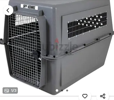 Dogs carriers for air travel