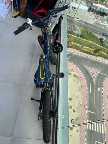 Kids Bicycle