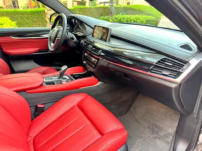 2018 BMW X6 photo 13
