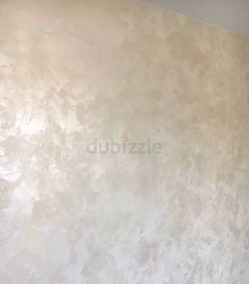 DPV_View_Image_2