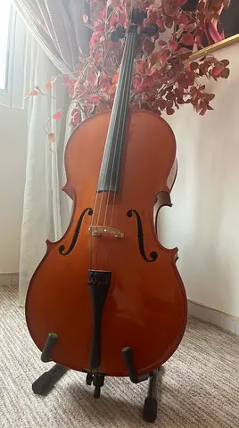 Czech hand made 4/4 Cello