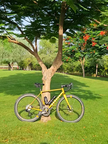 Gravel/Road Bike - Metallic Gold Frame with Disc Brakes and Deep-Section Wheels