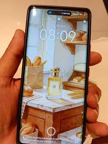 Vivo v30e
