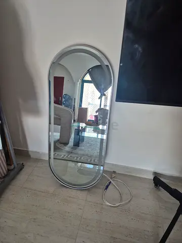 Free-standing Oval Full-Length Mirror - Silver Frame