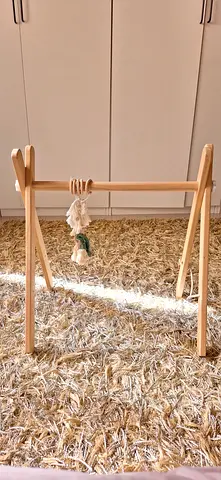 Baby play gym