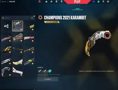 Valorant Account Radiant + Champions 2021 to 2025 Skins