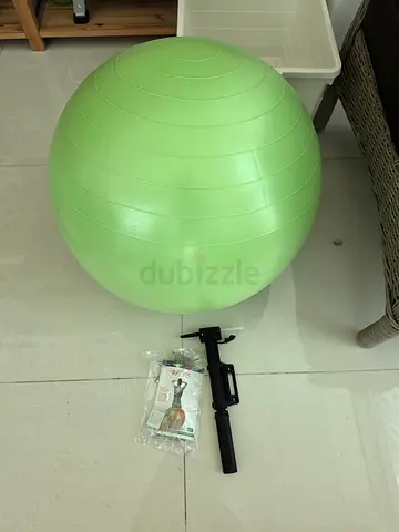 Original Gymnic Plus Exercise Ball 55 cm – Made in Italy – Includes Pump