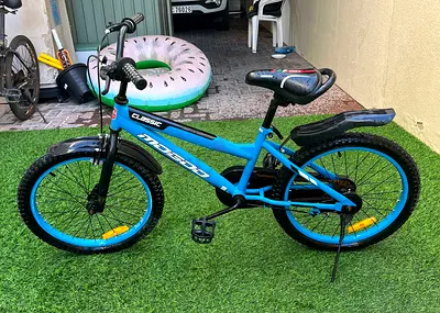 Kids 20in Bike