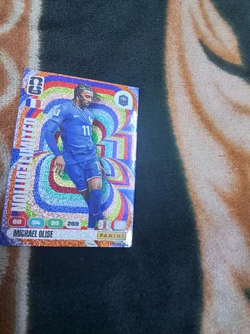 Panini football cards